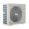 DM-DC036WLC/F  DANTEX