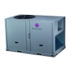 DR-B150CPD/SCF  DANTEX